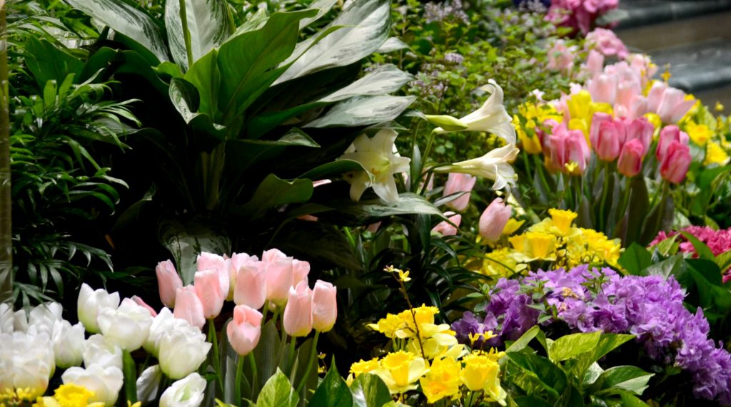 Lenten Reflections 2026