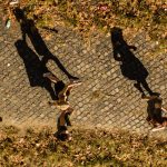 Controversy at Catholic school in Georgia over reach of the “ministerial exception